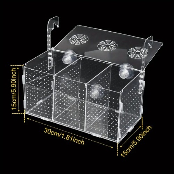 Acrylic quarantaine case 300x150x150mm (Schwimmschule)